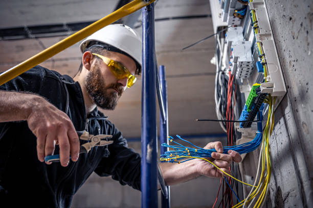 Best Electrical Upgrades for Homes  in Wamac, IL